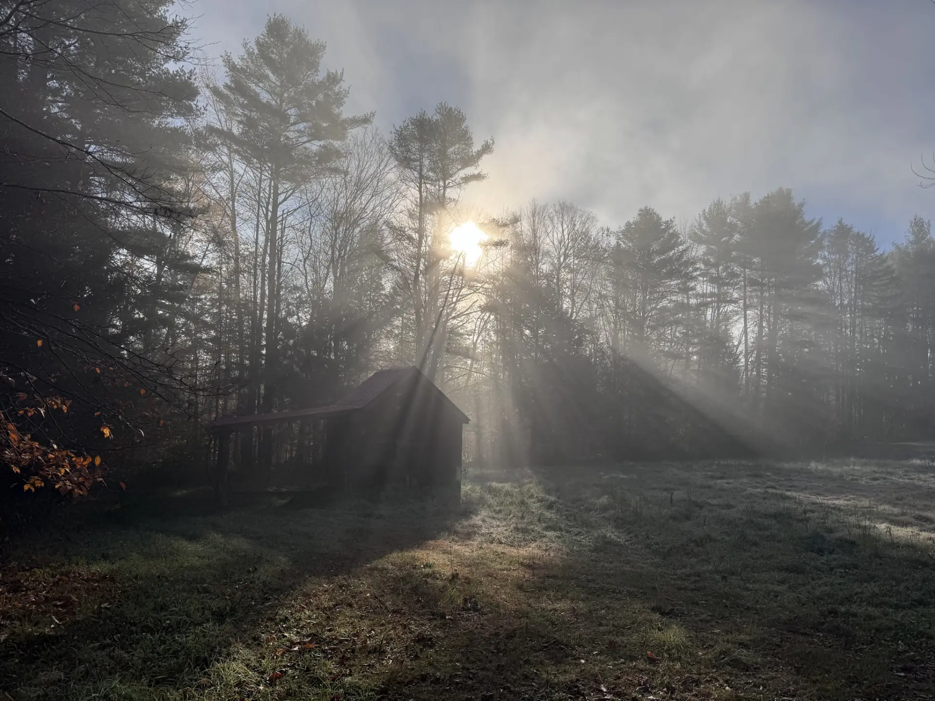 Sunlight streaming through trees into a frosted forest clearing with a small wooden shelter